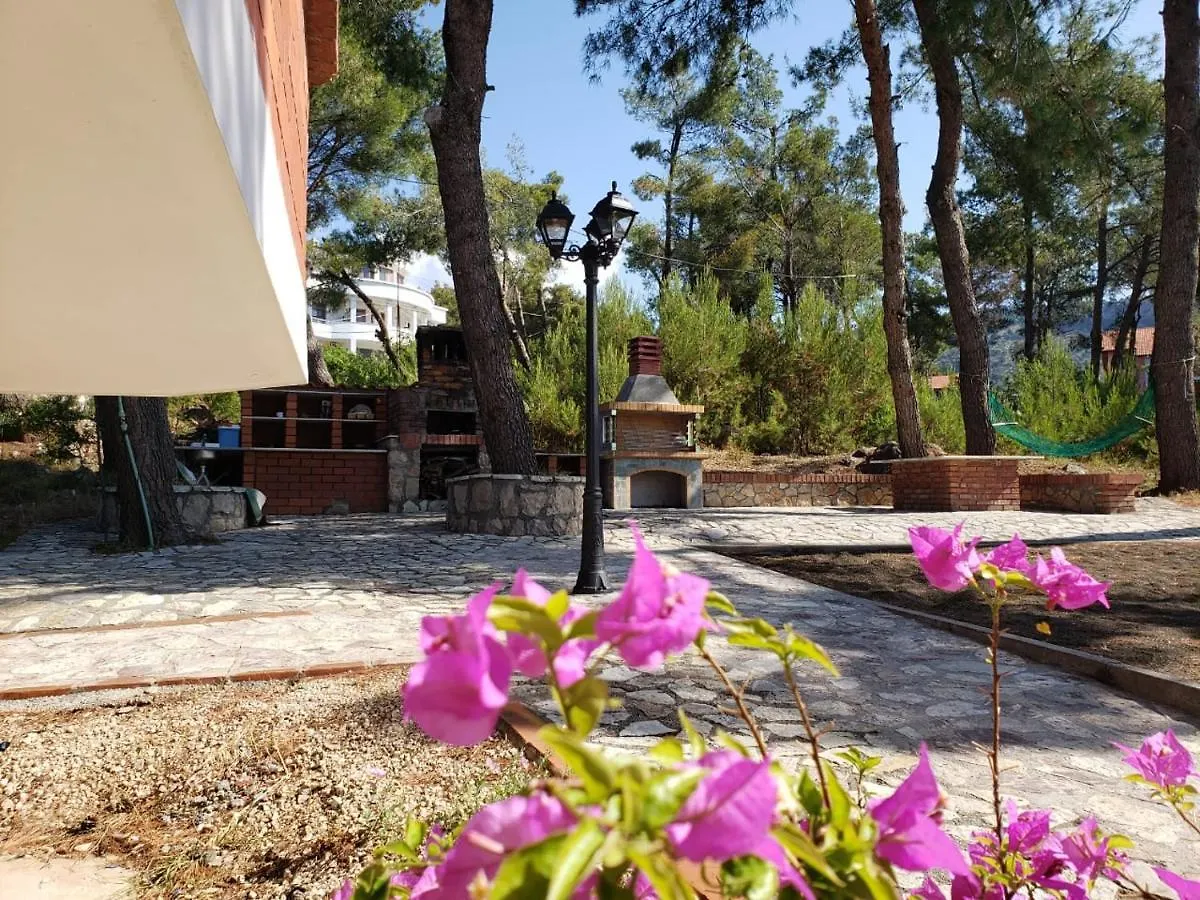 Appartement Hotel Brifs Shëngjin Albanië