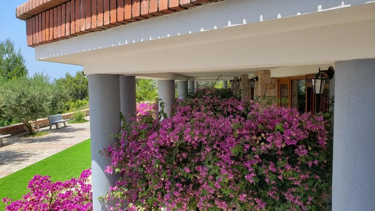 Hotel Brifs Shëngjin Albanië