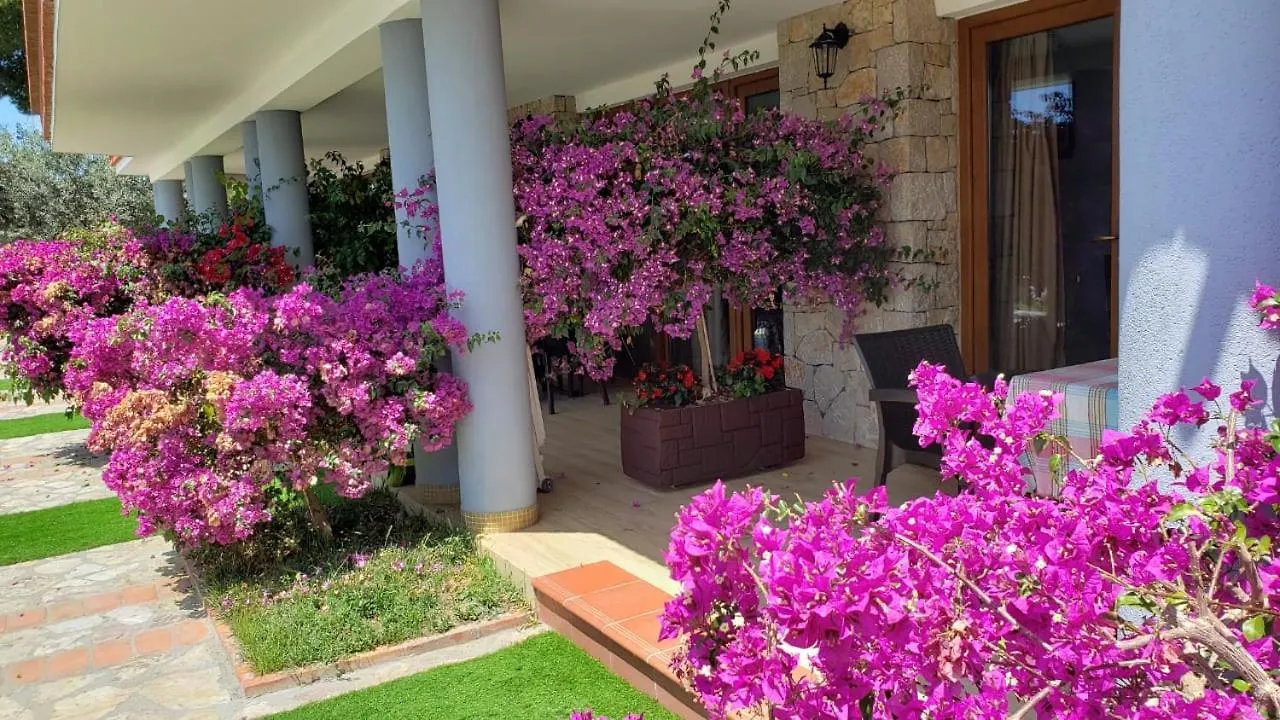 Hotel Brifs Shëngjin Appartement