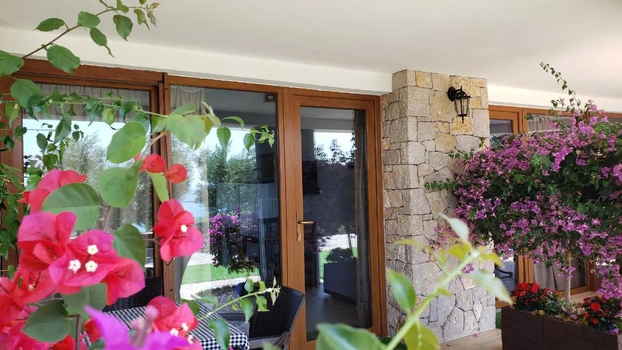 Hotel Brifs Shëngjin