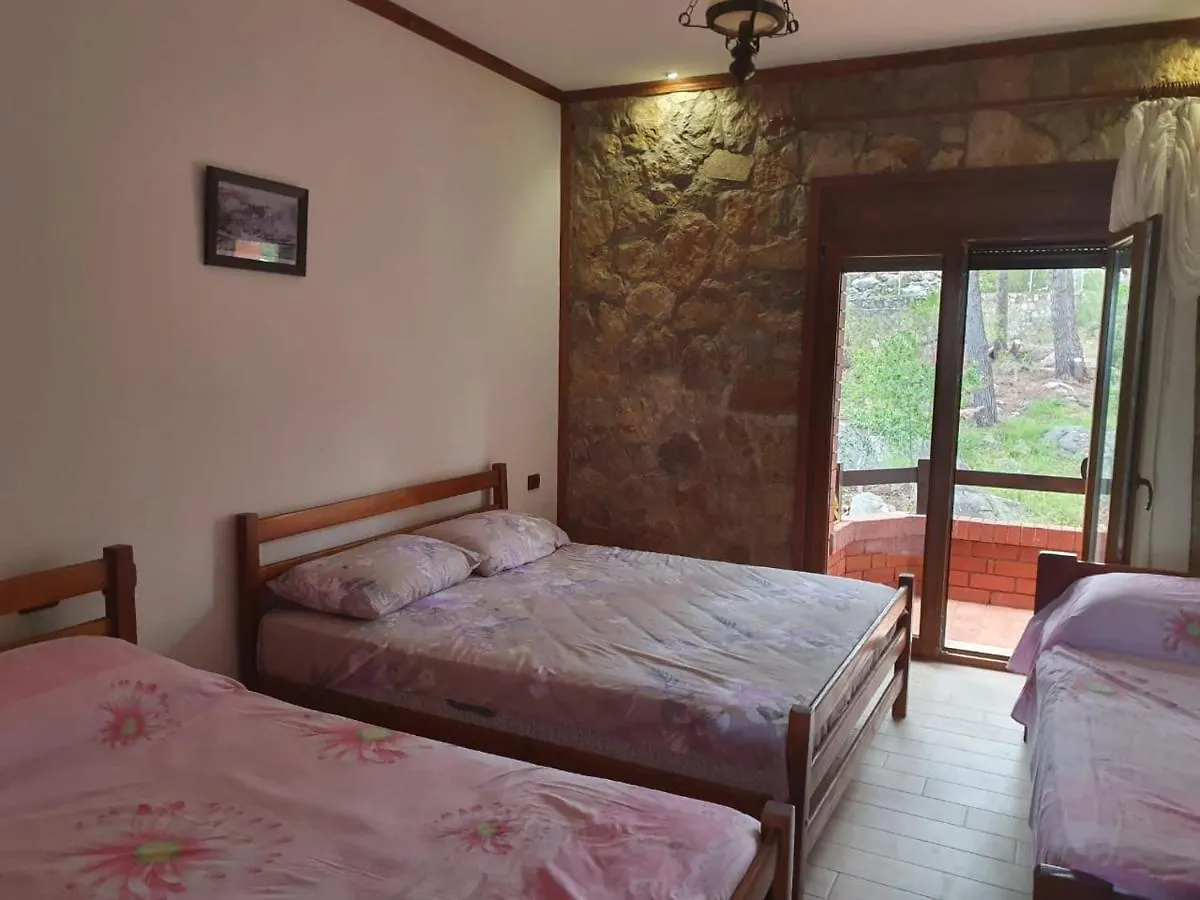 Hotel Brifs Shëngjin