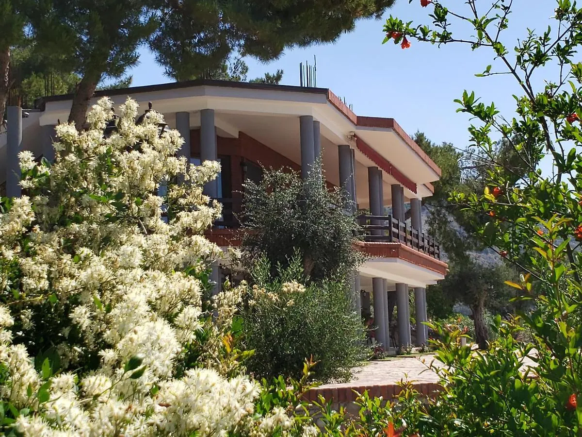 Hotel Brifs Shëngjin 0*,